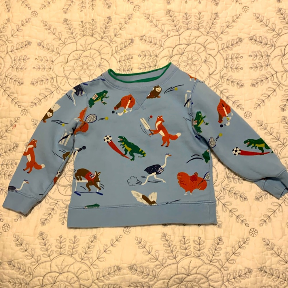 Mini Boden Sweatshirt